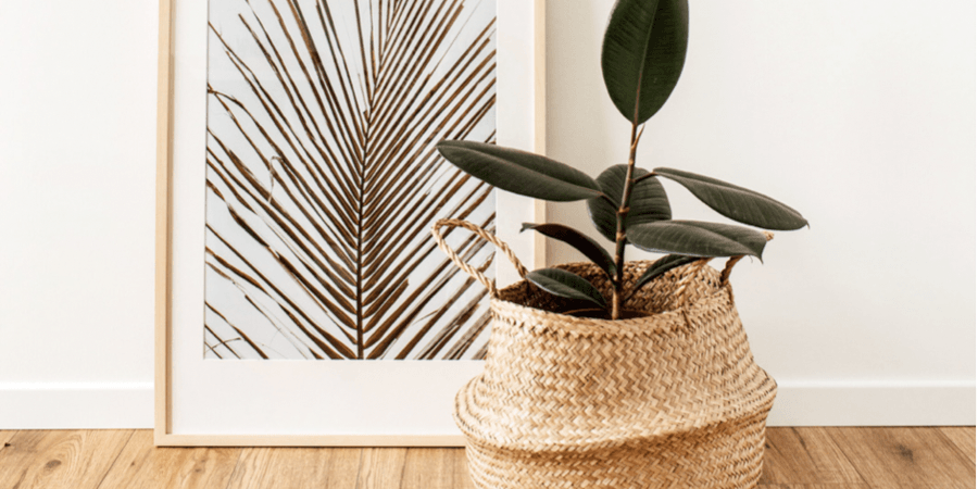 Ménage de printemps - produits québécois