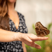 Coffret Prestige - Joyeux anniversaire