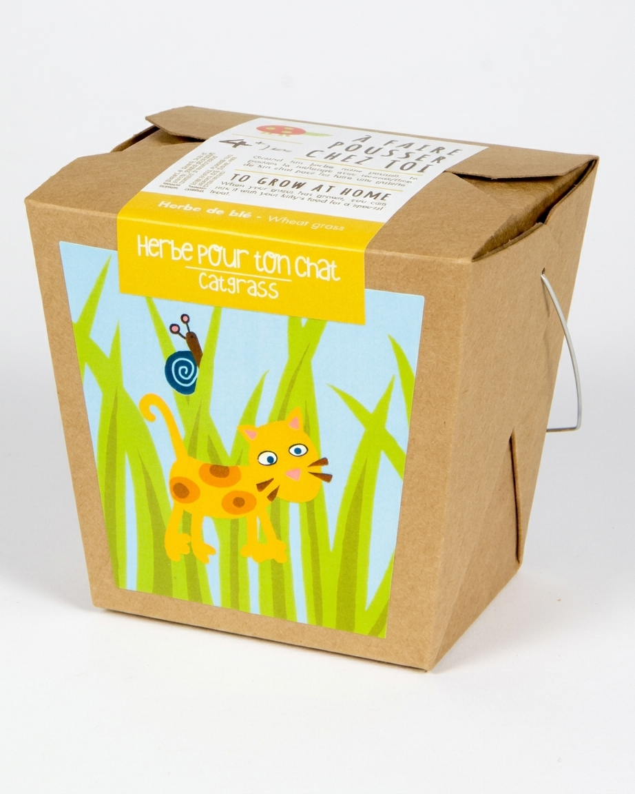 herbe-chat-mano-verde-junior-enfant.png