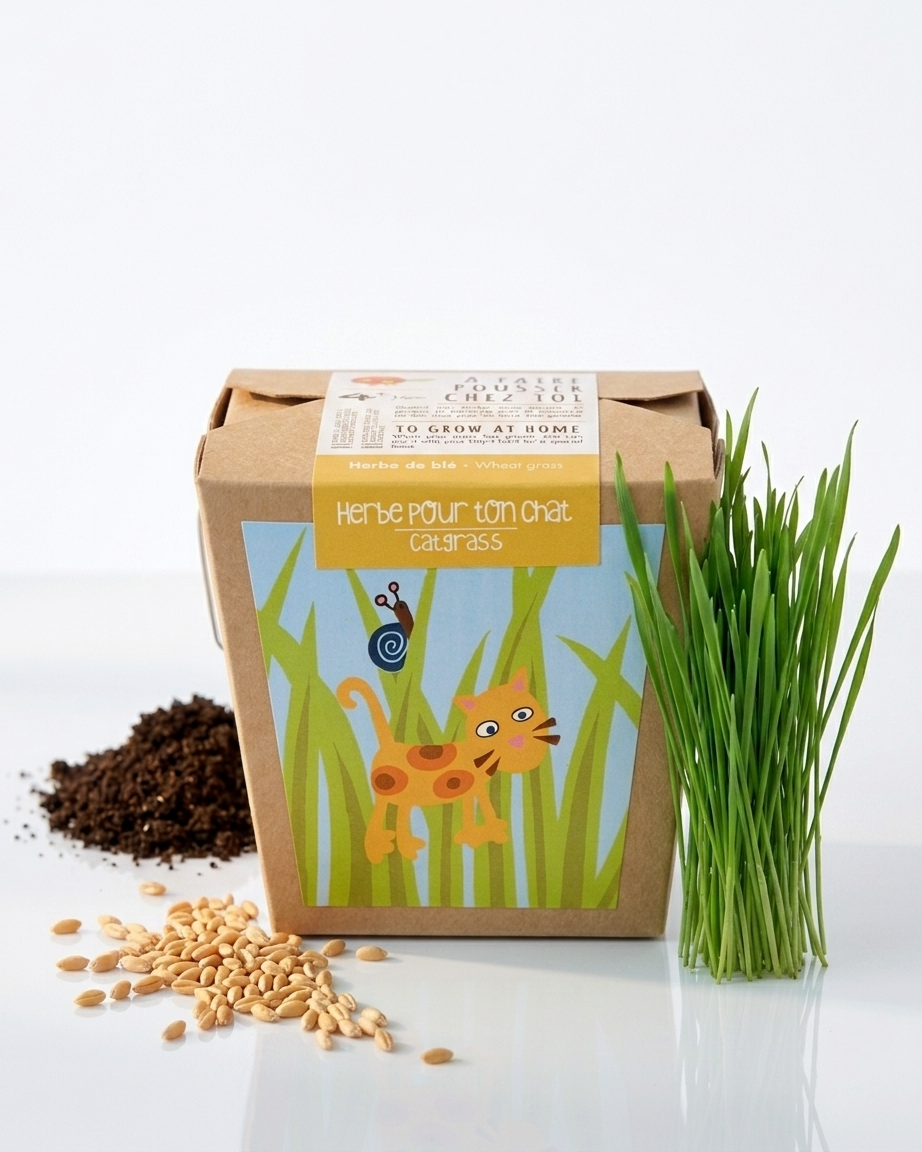 Jardin en boîte « Herbe pour chat »