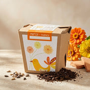 Jardin en boîte « Merci » Zinnia
