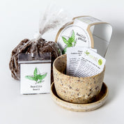 Ready-to-Grow Seed Kit