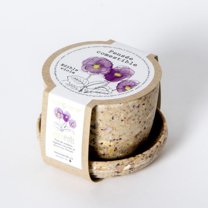 Ready-to-Grow Seed Kit