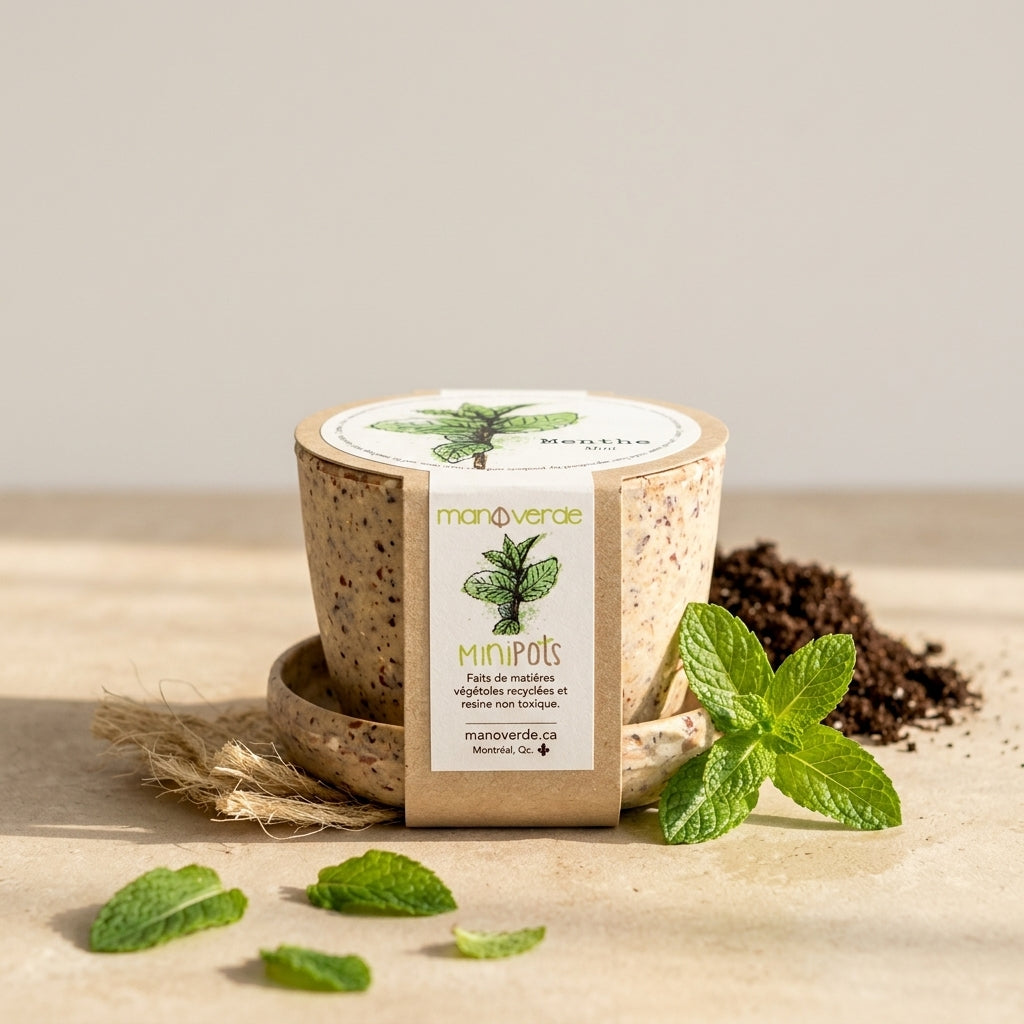 Ready-to-Grow Seed Kit