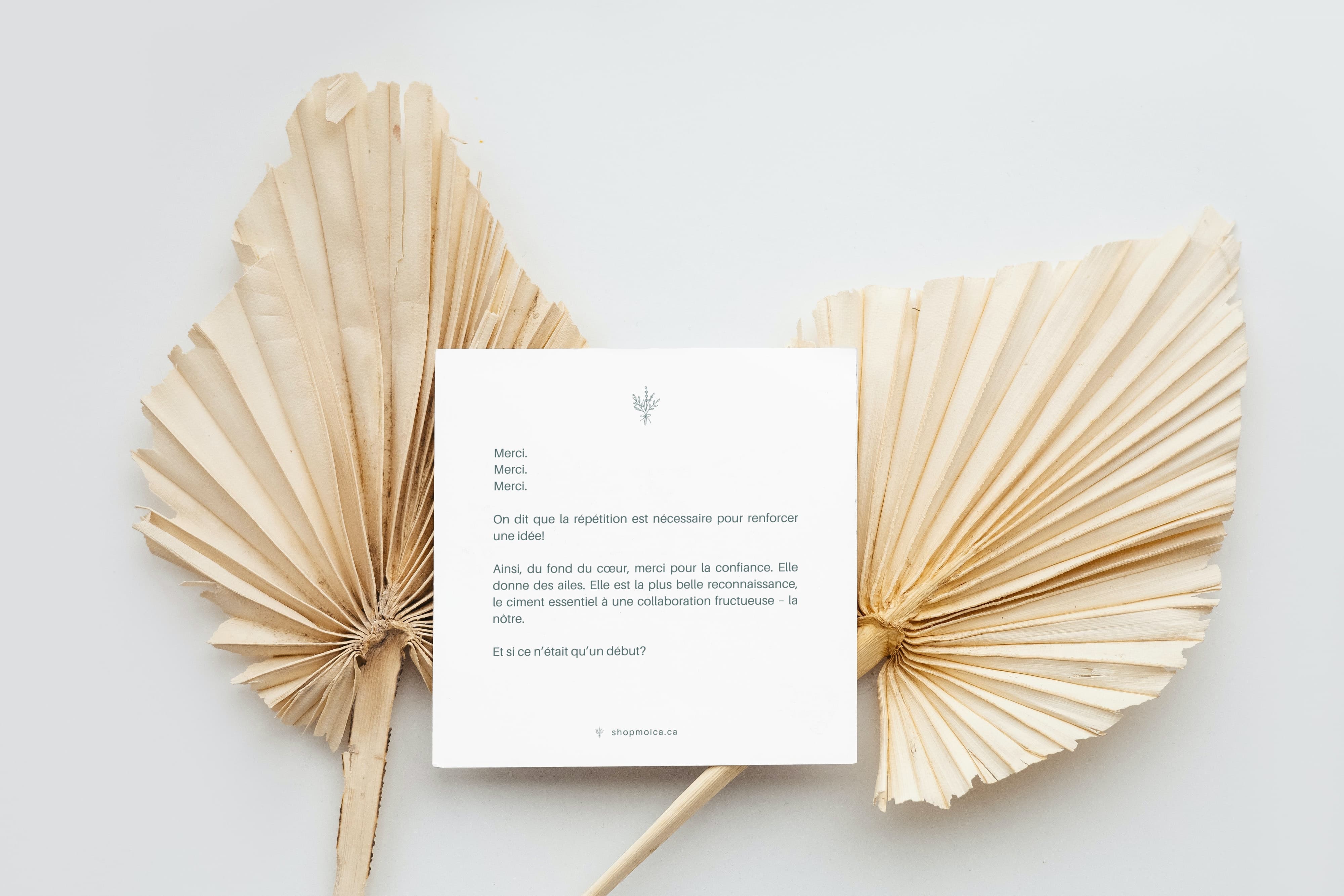 Ajouter un mot pré-rédigé